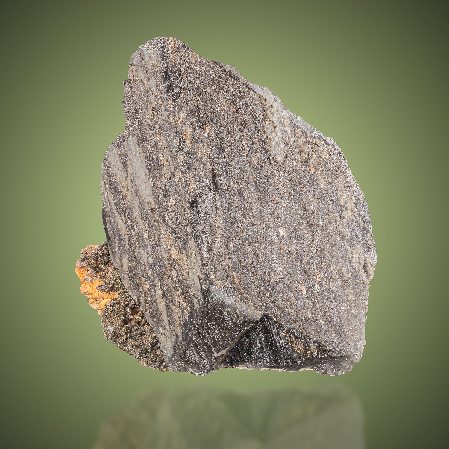 Wendel-Minerals | Item: 1070 - Whewellite-Kladno | Bohemia | Czech Republic